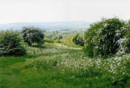 Eveshanm Battlefield Margaret Nilsson